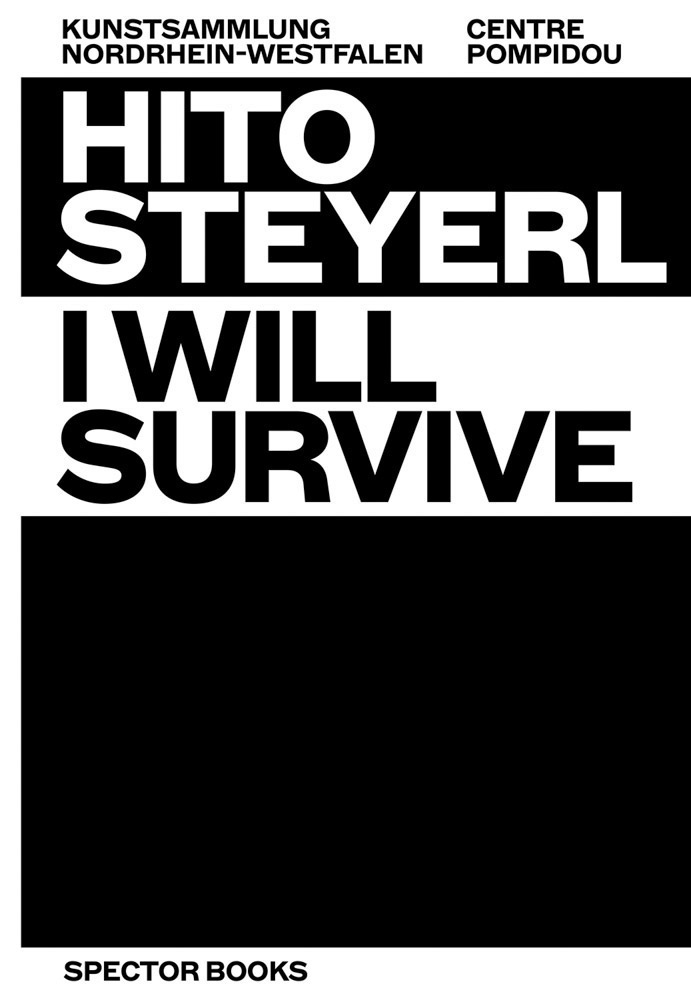 I will survive. Hito Sreyerl
